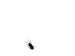 konst's picture