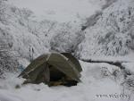 Новорічна казка 2010