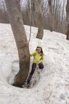 Розталий сніг біля дерева на перевальній сідловині