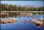 Озерцо в центре болота Халупска Слать