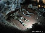 Печера Еміне-Баїр-Хосар. Кістки мамонта