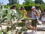 Кактусы в Ботаническом саду г. Балчуг