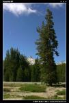 Крайобрази в високогірській частині Yosemite NP