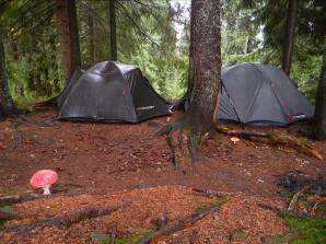 Лагерь в лесу