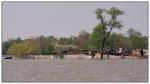 Румыния в пик наводнения на Дунае