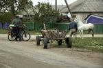 На краю с. Куконештій-Ной з`ясовується родовід і подальший шлях