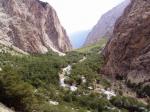Вид вниз по долине реки Сурметаш на берёзовый лес