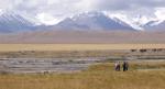 Арпинская впадина. На ЗП - Ферганский хребет. Слева долина ледника Чон-Каракоман, справа - ледника Учи-Коман. Между ними - пики Адвай