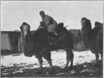 Киргизы верхомъ на верблюдахъ въ степи