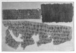 Древнія рукописи, найденныя въ окрестностяхъ Хотана