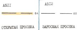 Открытая просека. Заросшая просека