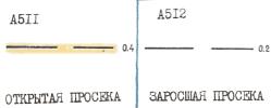 Открытая просека. Заросшая просека